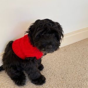 Meet your Posher, Kat